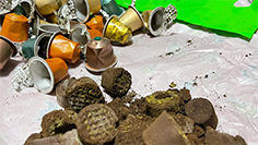 【綠色科普】探究咖啡膠囊的可持續